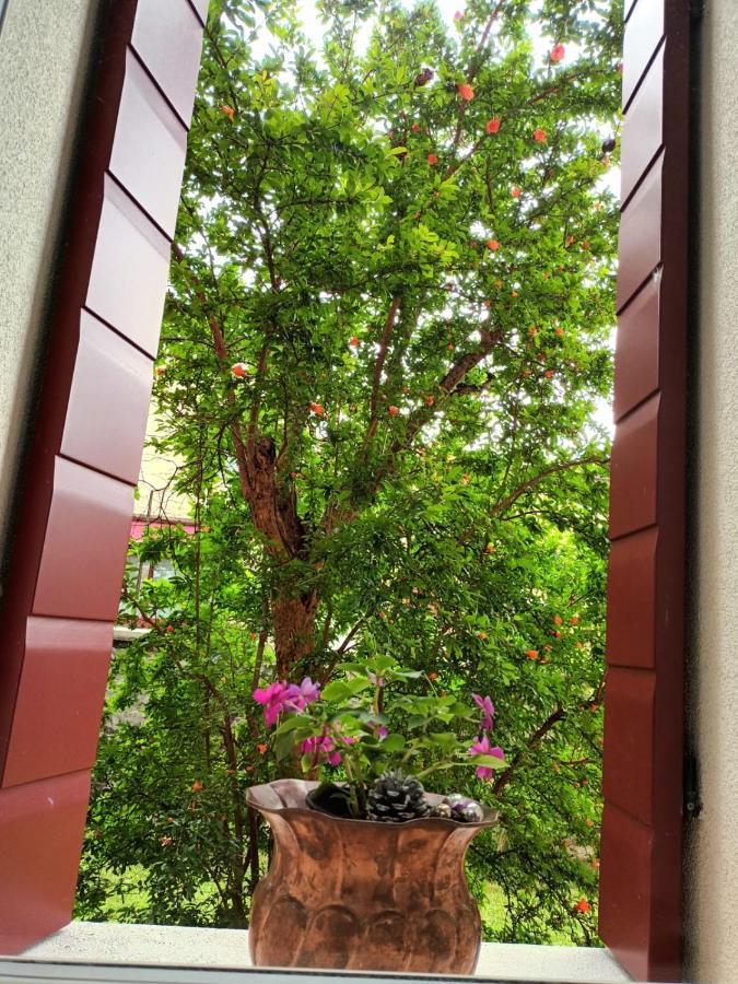 Il Melograno Otel Vittorio Veneto Dış mekan fotoğraf